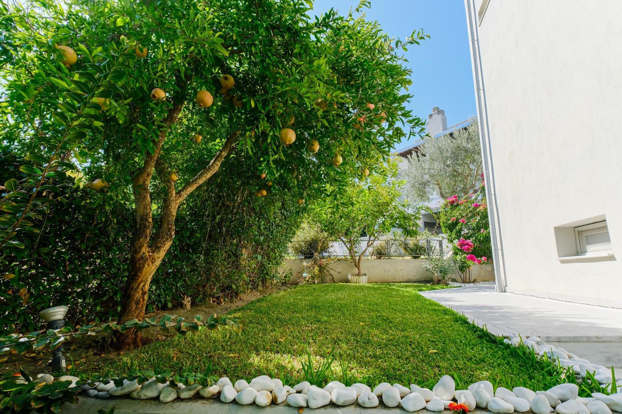 Deluxe Chrousso Pool Villa Paliouri Exterior foto